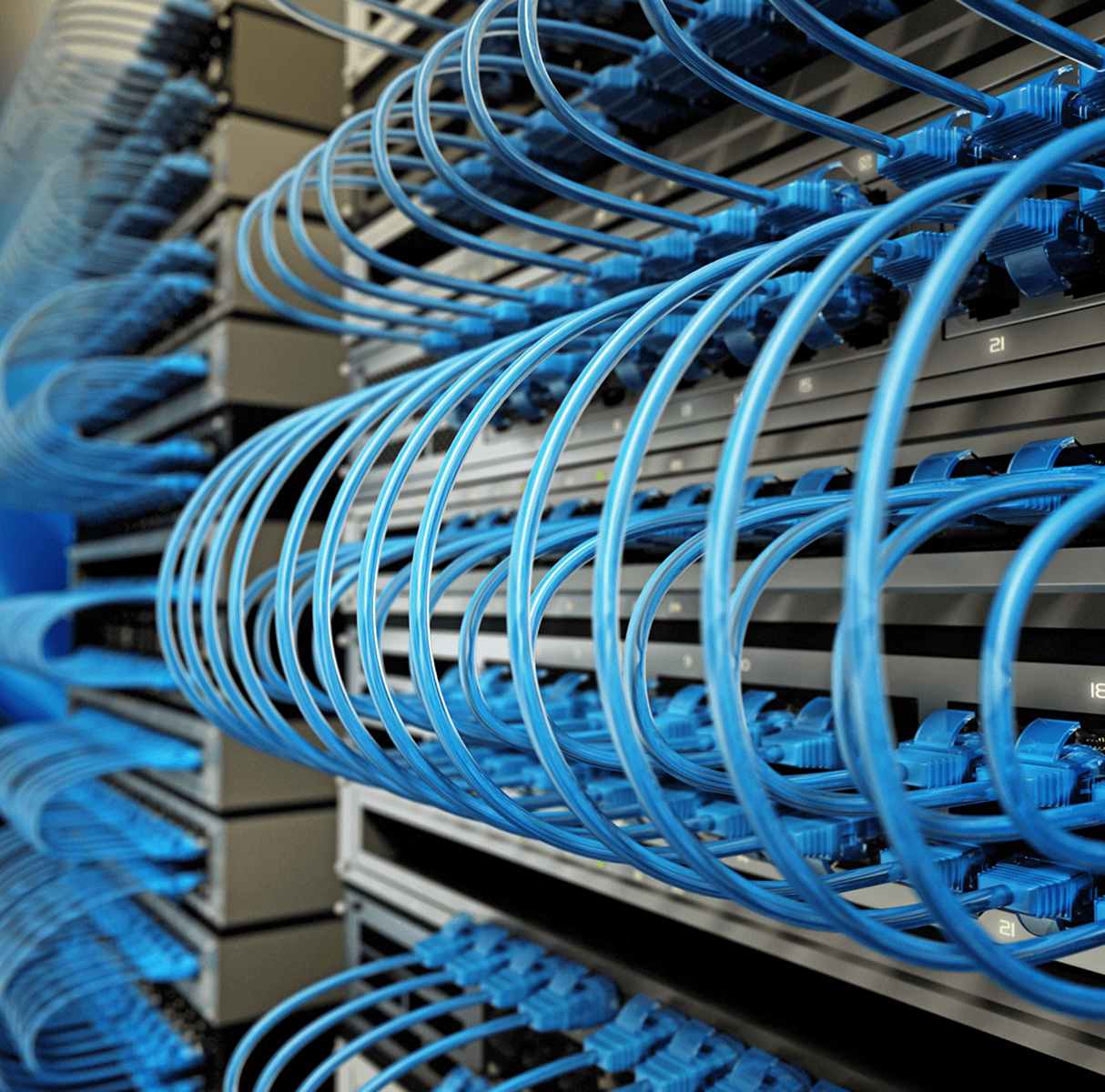 Close-up of blue Ethernet connections
