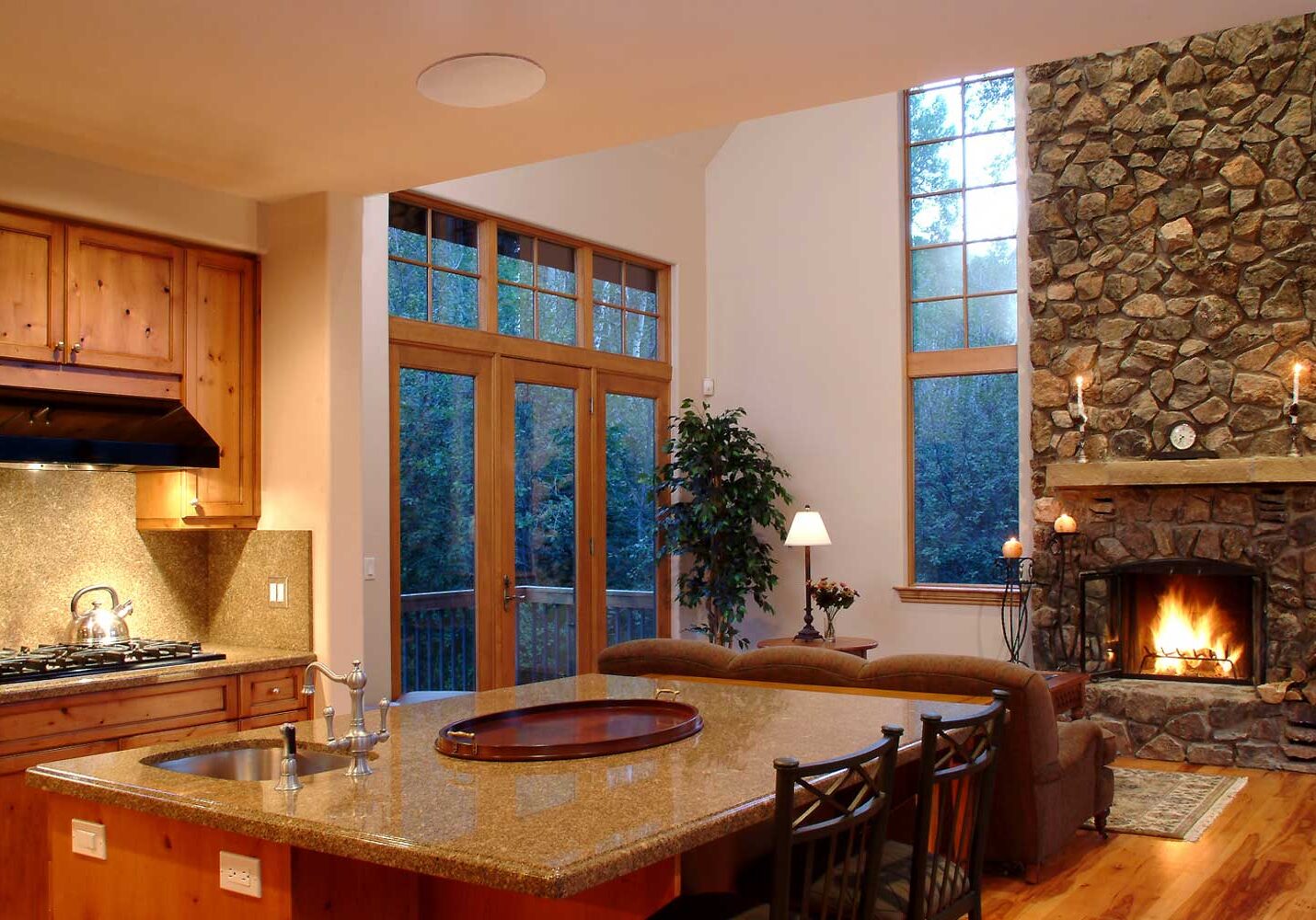 Martin Logan Kitchen Speakers